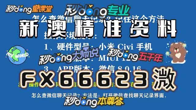 新澳内部资料精准一码波色表，中心释义解释与落实