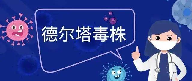 澳门资料大全免费解析与接待释义的落实——迈向2025的展望