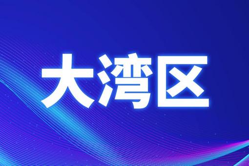 新澳门特免费资料大全与管家婆料对接释义解释落实深度解析