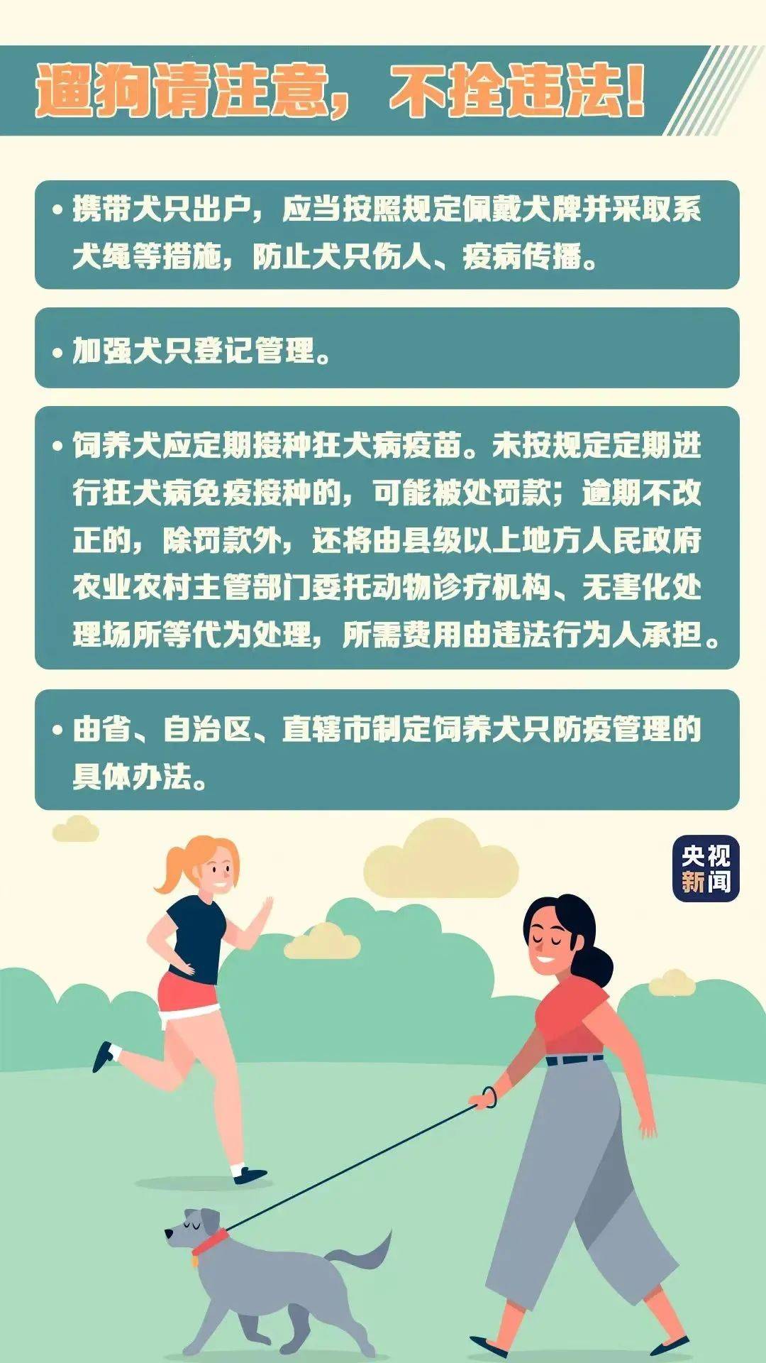 新版跑狗图解析，深度解读数字背后的寓意与落实意义